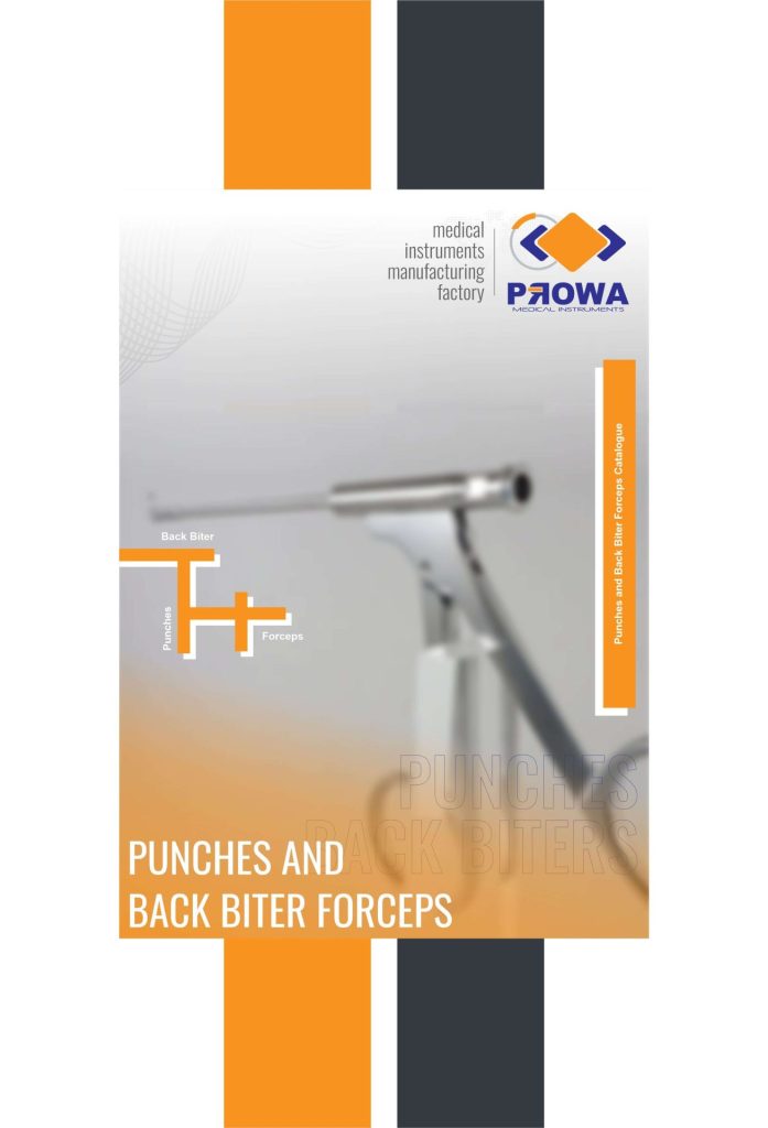 punches-and-back-biters-catalogue_cover